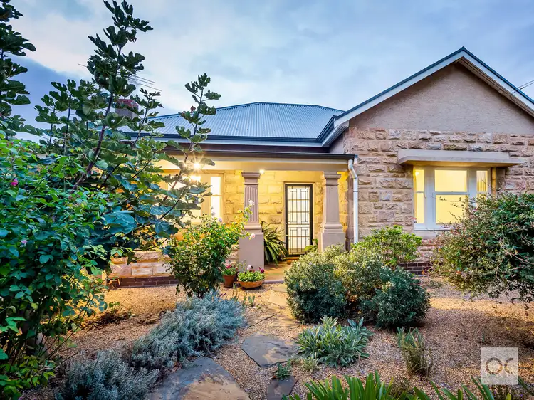 24 College Avenue, Prospect SA 5082