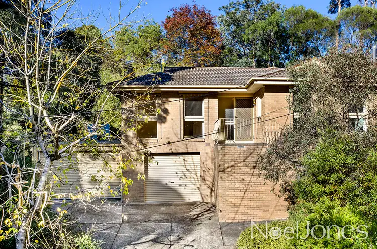 44 Burlock Avenue, Ringwood North VIC 3134