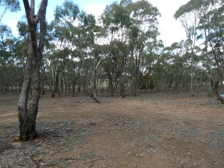 Main view of Homely rural property listing, CA 34A Wychitella Road, Wedderburn VIC 3518