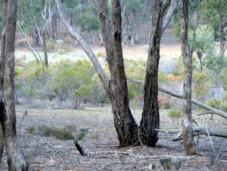 Third view of Homely rural property listing, CA 34A Wychitella Road, Wedderburn VIC 3518