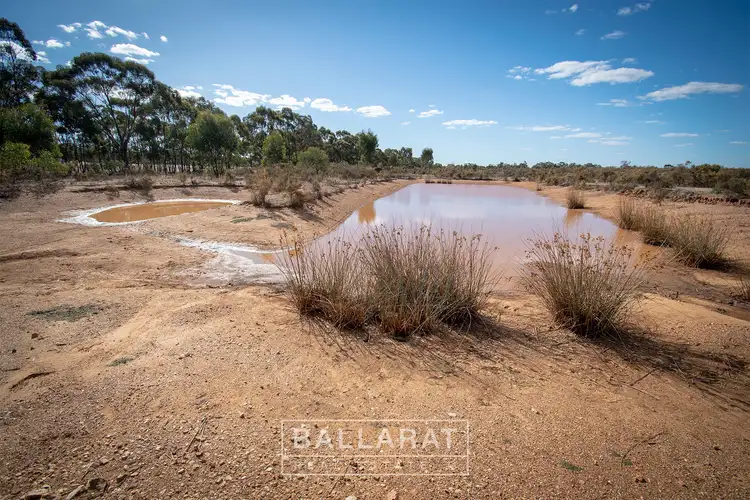 Second view of Homely rural property listing, 103 Dunolly-Timor Road, Dunolly VIC 3472