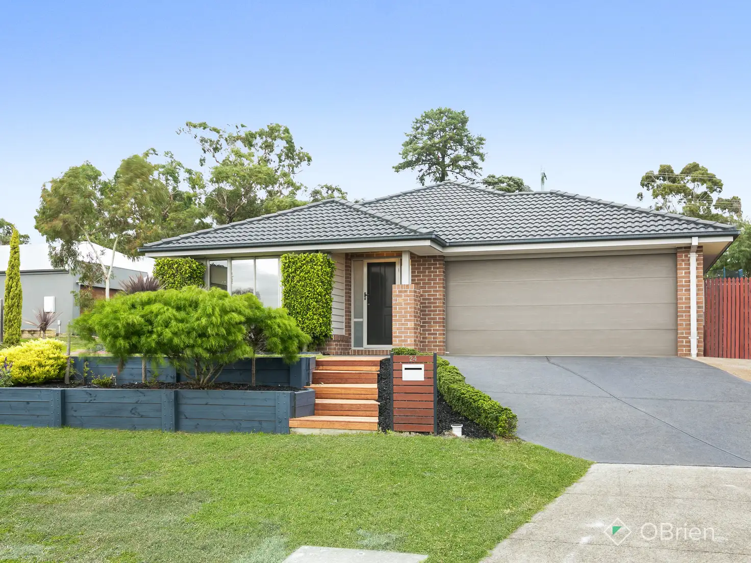 Main view of Homely house listing, 24 St Austell Court, Skye VIC 3977