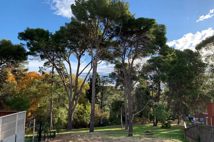 Second view of Homely land listing, 11 Acacia Court, Stonyfell SA 5066