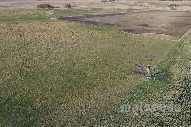 Seventh view of Homely rural property listing, Kongorong - Tantanoola Road, Tantanoola SA 5280