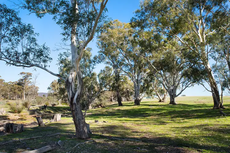 Third view of Homely land listing, 279 Maldon Shelbourne Road, Maldon VIC 3463