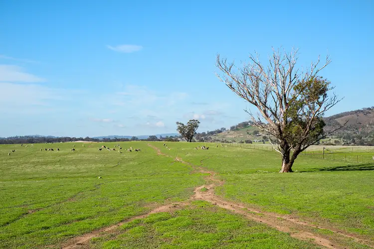 Fifth view of Homely land listing, 279 Maldon Shelbourne Road, Maldon VIC 3463