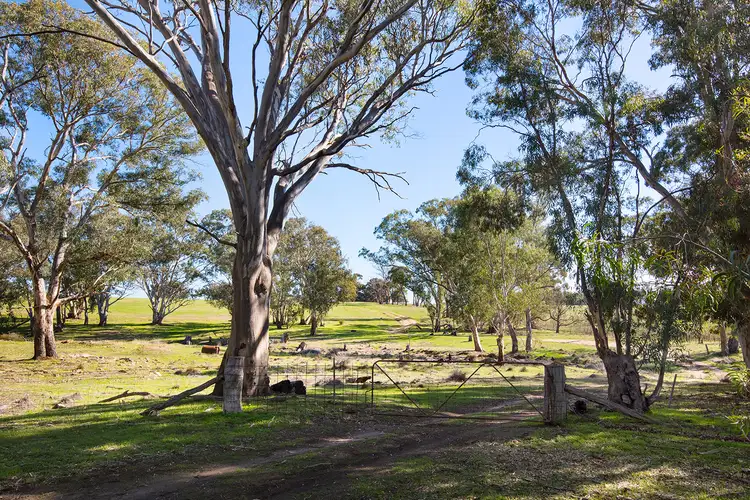 Seventh view of Homely land listing, 279 Maldon Shelbourne Road, Maldon VIC 3463