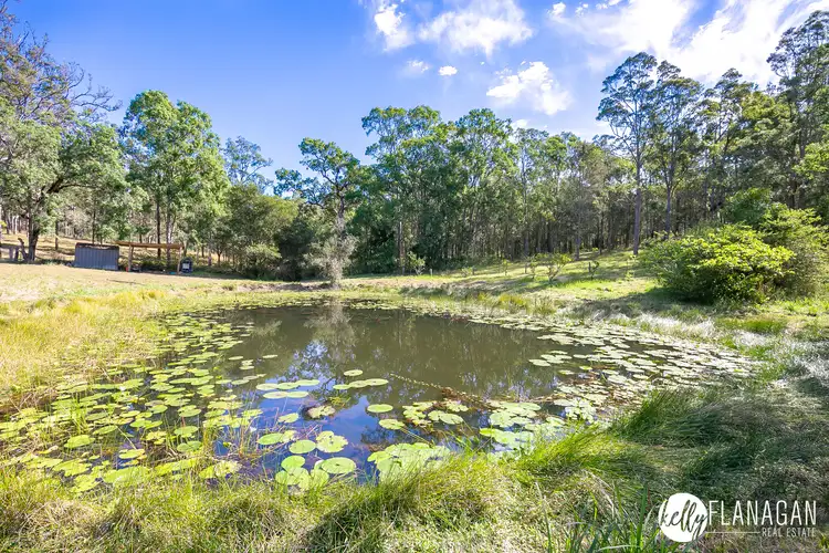 Third view of Homely rural property listing, 3006 Armidale Road, Hickeys Creek NSW 2440