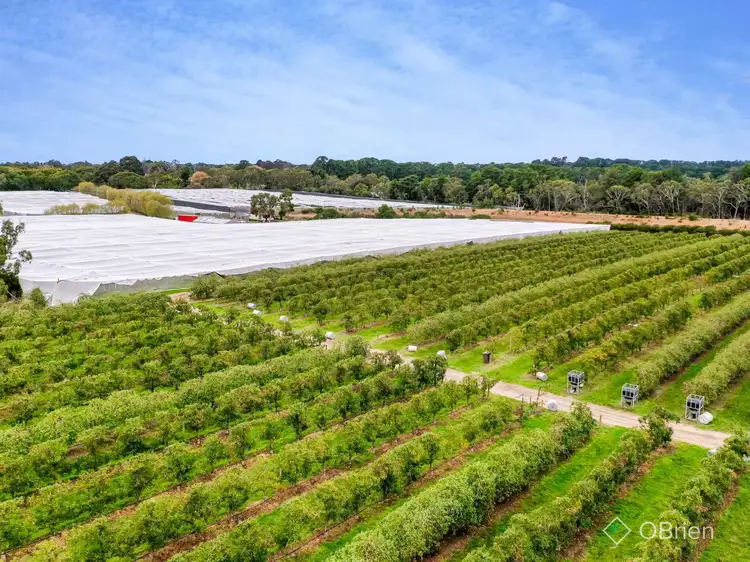 Second view of Homely rural property listing, 1061 Stumpy Gully Road, Moorooduc VIC 3933