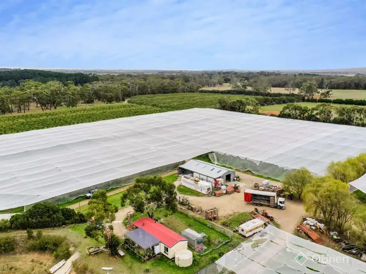 Fourth view of Homely rural property listing, 1061 Stumpy Gully Road, Moorooduc VIC 3933