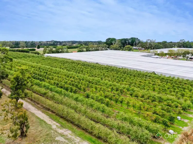 Fifth view of Homely rural property listing, 1061 Stumpy Gully Road, Moorooduc VIC 3933