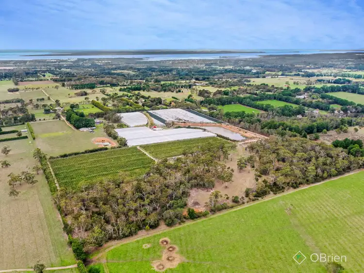 Sixth view of Homely rural property listing, 1061 Stumpy Gully Road, Moorooduc VIC 3933
