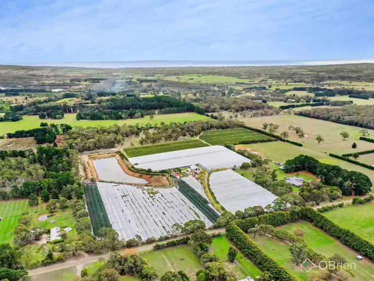 Seventh view of Homely rural property listing, 1061 Stumpy Gully Road, Moorooduc VIC 3933