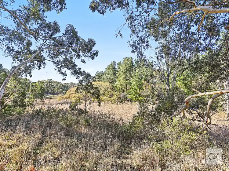 Sixth view of Homely land listing, Lot 100 Cleland Gully Road, Tooperang SA 5255