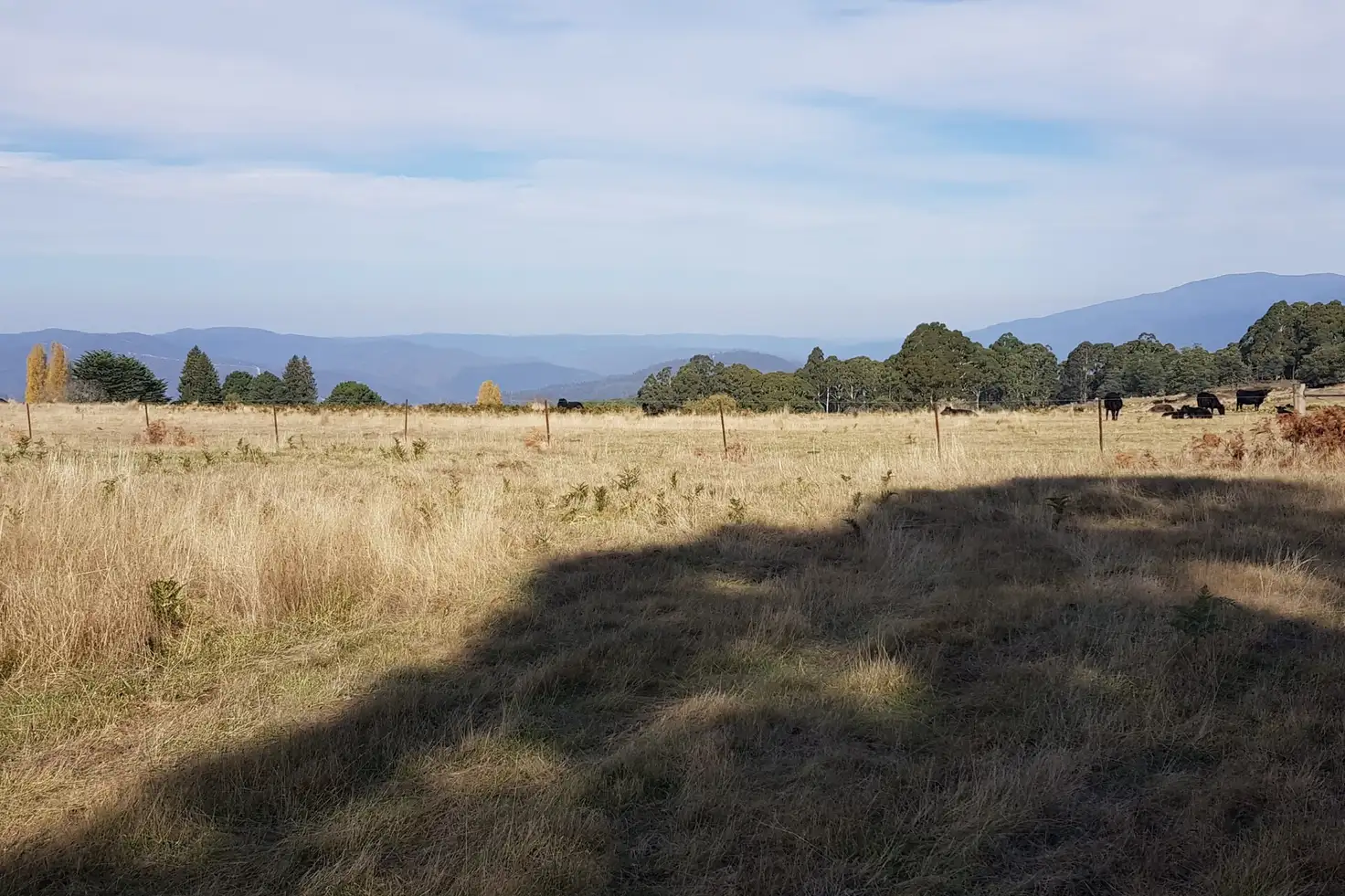 Main view of Homely rural property listing, 11 Cemetery Road, Aberfeldy VIC 3825