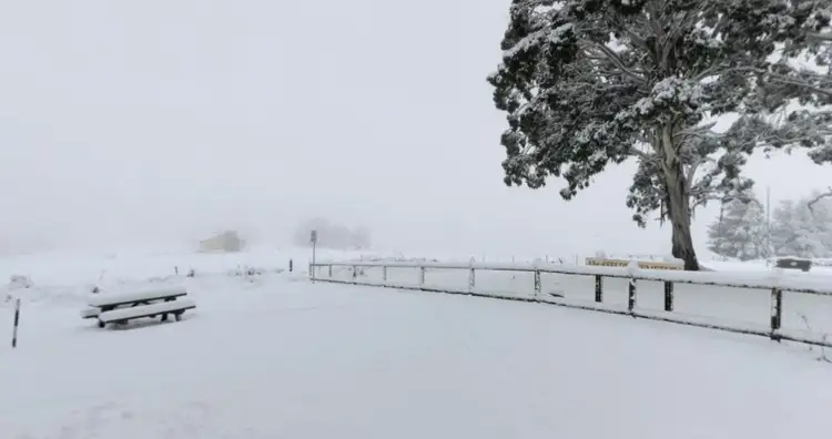 Fifth view of Homely rural property listing, 11 Cemetery Road, Aberfeldy VIC 3825