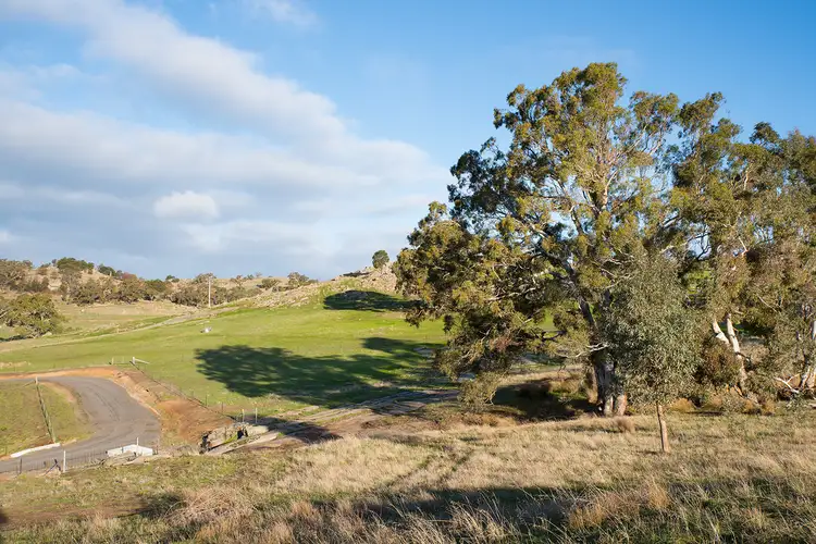 Third view of Homely land listing, Lot 7 Wilkinsons Road, Sedgwick VIC 3551
