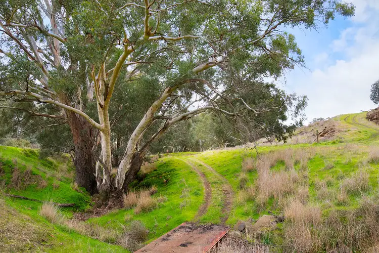Sixth view of Homely house listing, 171 Brownes Lane, Axedale VIC 3551