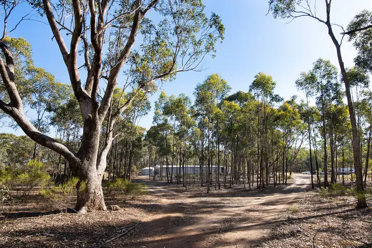 Seventh view of Homely land listing, LOT 4 Sedgwick Road, Sedgwick VIC 3551