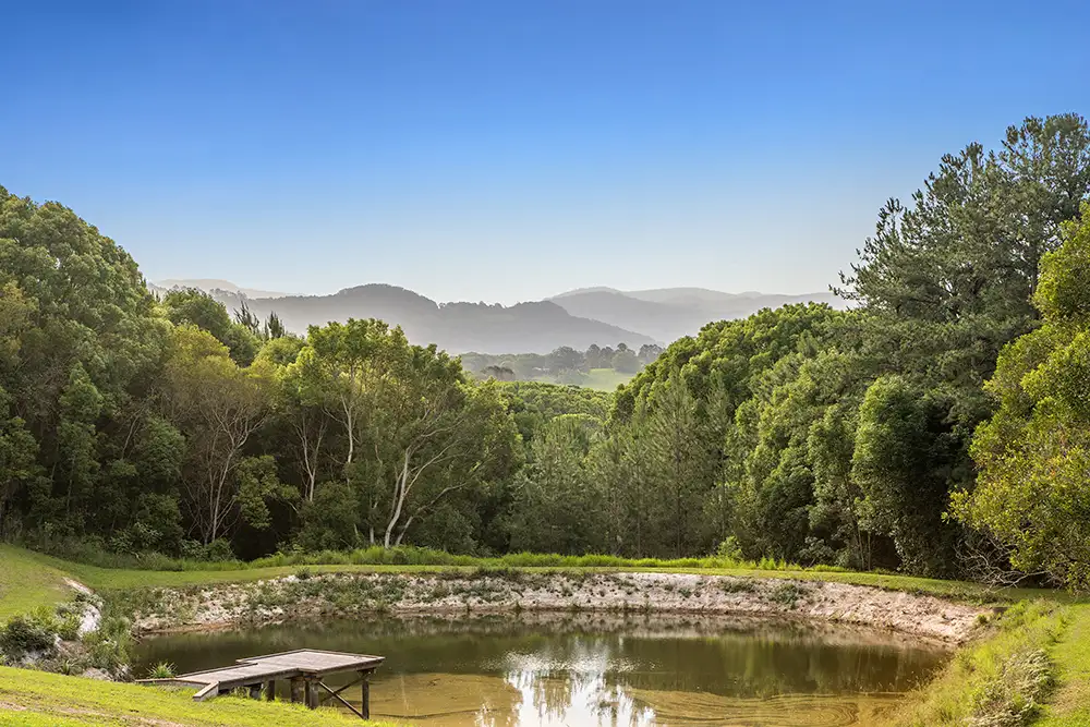 Main view of Homely house listing, 29 Benloro Lane, Myocum NSW 2481