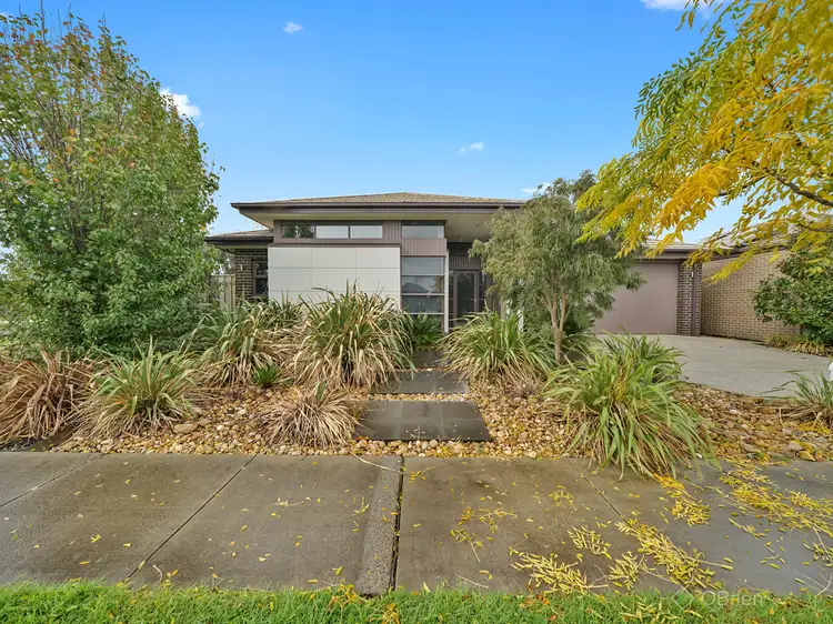 36 Flowerbloom Crescent, Clyde North VIC 3978