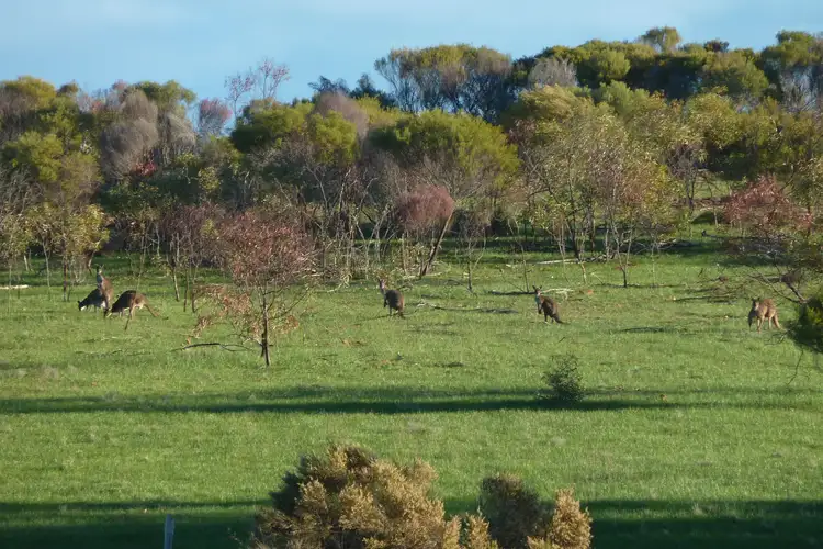 Fourth view of Homely rural property listing, Lot 21 Josephine Drive, Wedderburn VIC 3518