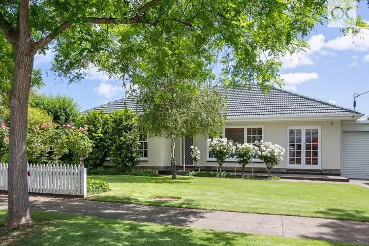 3 Cranbrook Avenue, Underdale SA 5032