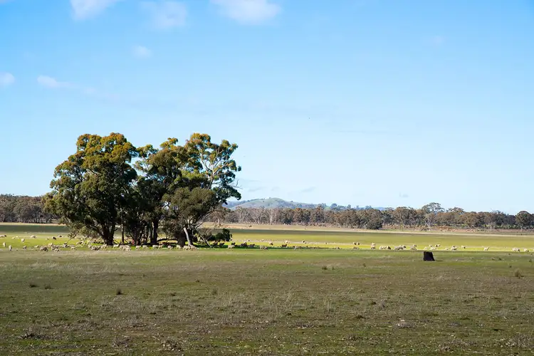 Third view of Homely land listing, 1010 Bendigo-Maldon Road, Lockwood South VIC 3551