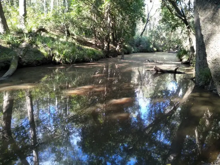Fourth view of Homely rural property listing, 385 Ringwood Road, Booyal QLD 4671