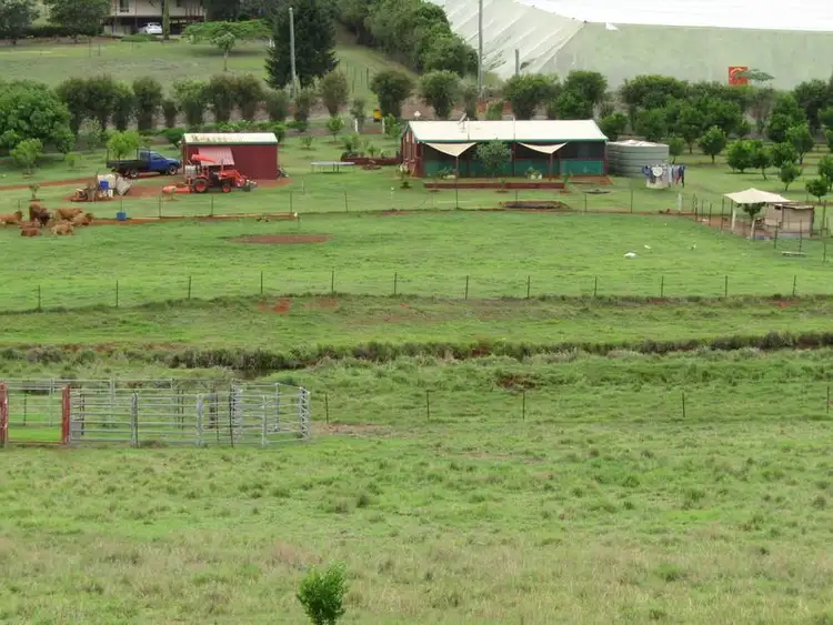 Fifth view of Homely house listing, 3 Plantation Road, South Isis QLD 4660