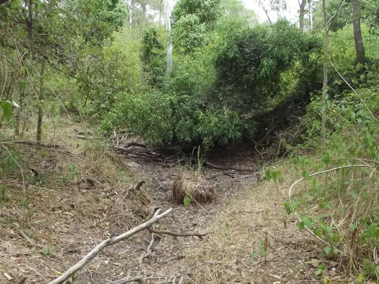 Fifth view of Homely land listing, 831 Ringwood Road, Booyal QLD 4671