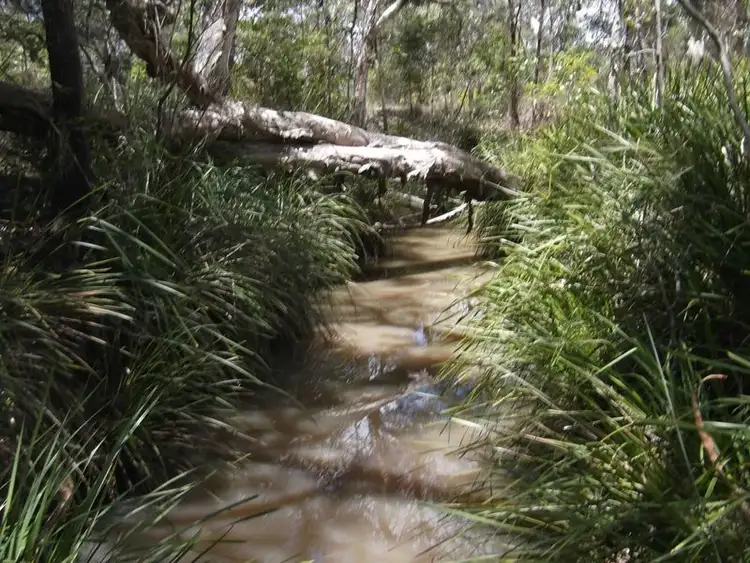 Second view of Homely land listing, 31 Yalla Lane, Redridge QLD 4660