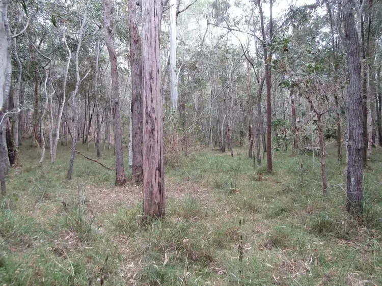 Seventh view of Homely land listing, 149 Blacks Road, Isis River QLD 4660