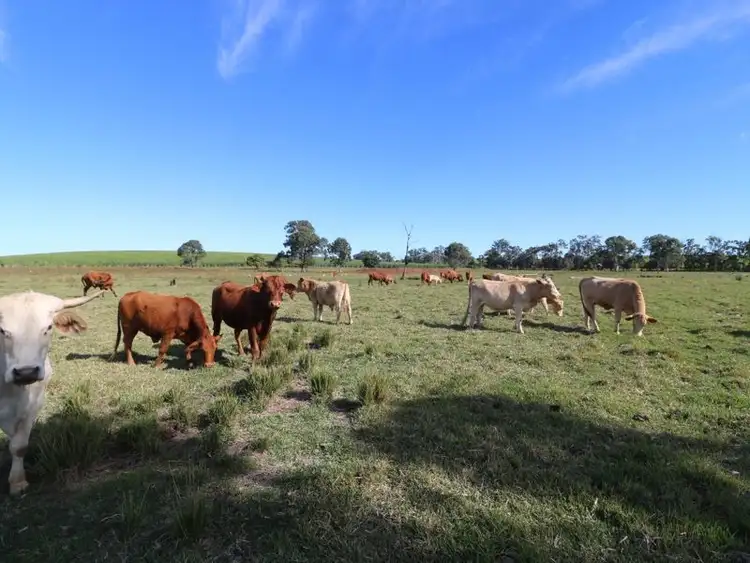 Main view of Homely land listing, 156 Conlons Road, Horton QLD 4660