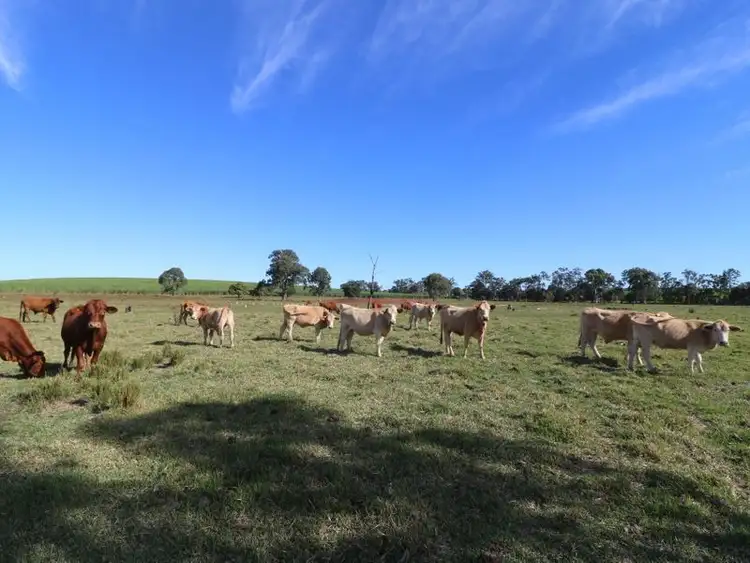 Seventh view of Homely land listing, 156 Conlons Road, Horton QLD 4660