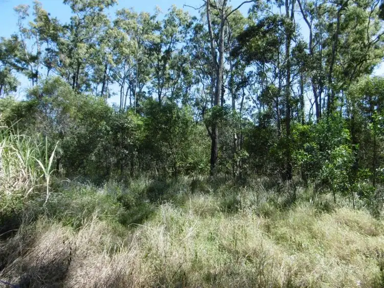 Fifth view of Homely land listing, Lot 51 Mullers Road, Redridge QLD 4660