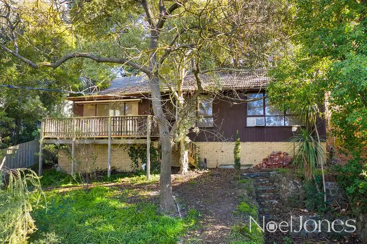 Main view of Homely house listing, 24 Burlock Avenue, Ringwood North VIC 3134