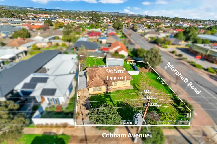 2 Cobham Avenue, Morphettville SA 5043
