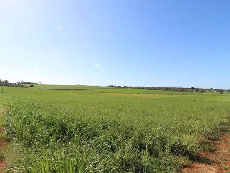 Second view of Homely rural property listing, 115 Lucketts Road, Doolbi QLD 4660