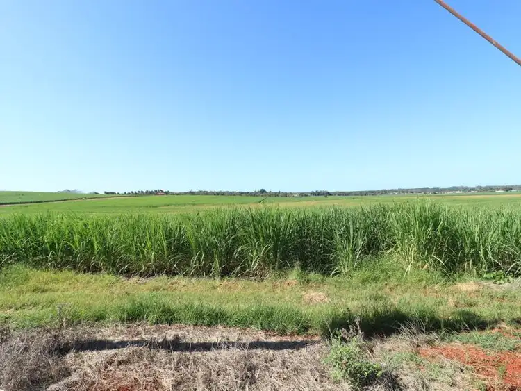 Third view of Homely rural property listing, 115 Lucketts Road, Doolbi QLD 4660