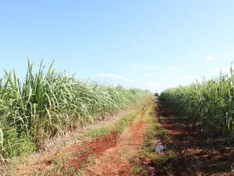 Fourth view of Homely rural property listing, 115 Lucketts Road, Doolbi QLD 4660