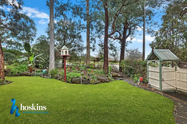 Fifth view of Homely house listing, 246 Wonga Road, Warranwood VIC 3134