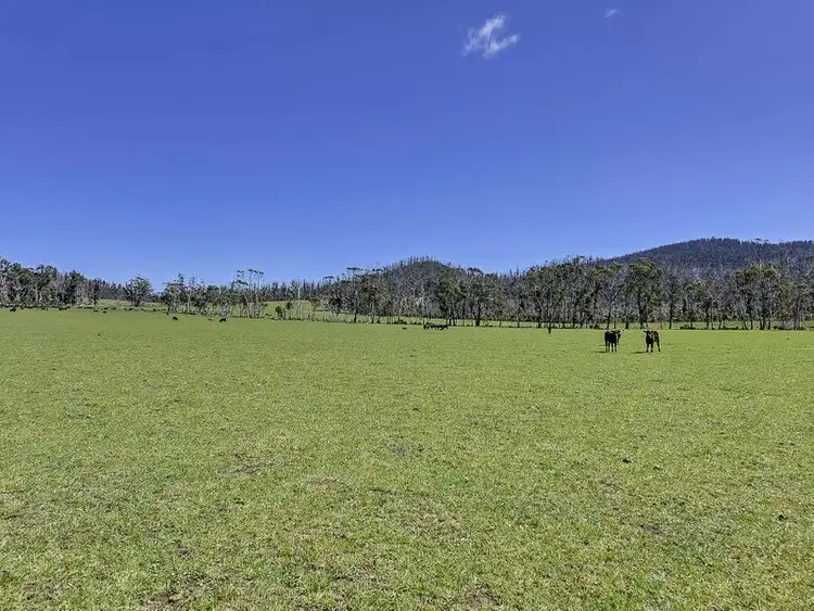 Seventh view of Homely land listing, Lots 1 - 2 Fulham Road, Dunalley TAS 7177