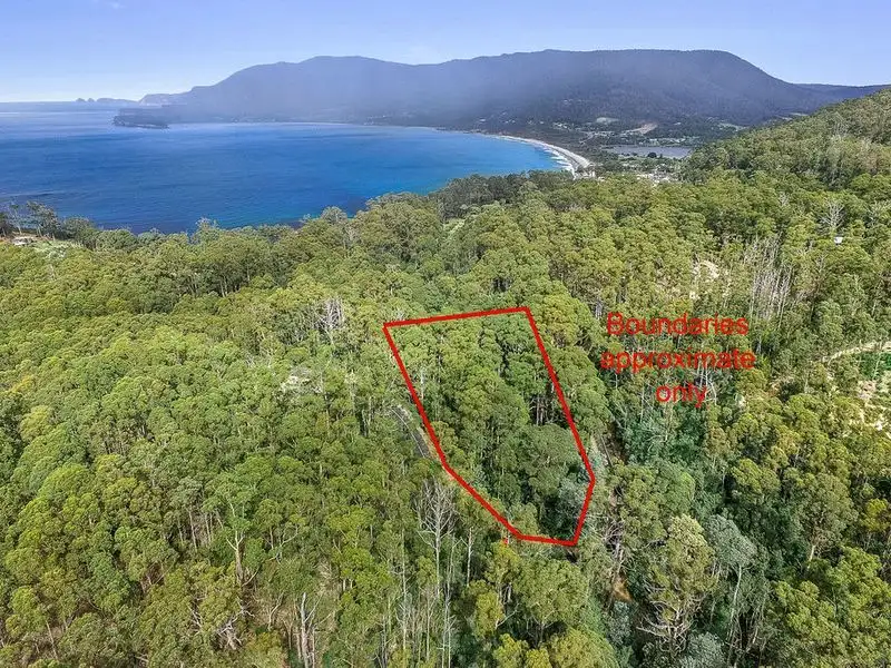Main view of Homely land listing, Lot 17, 31 Pirates Bay Drive, Eaglehawk Neck TAS 7179