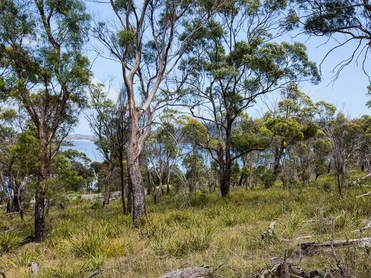 Sixth view of Homely land listing, Lots A- B- C Arthur Highway, Murdunna TAS 7178