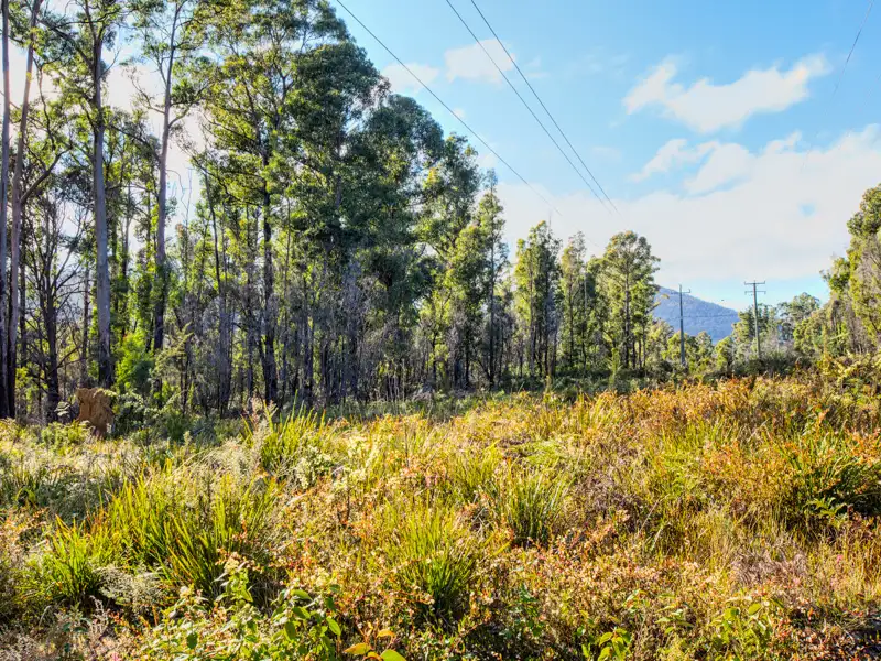 Main view of Homely land listing, Lot 1, 427 Arthur Highway, Murdunna TAS 7178
