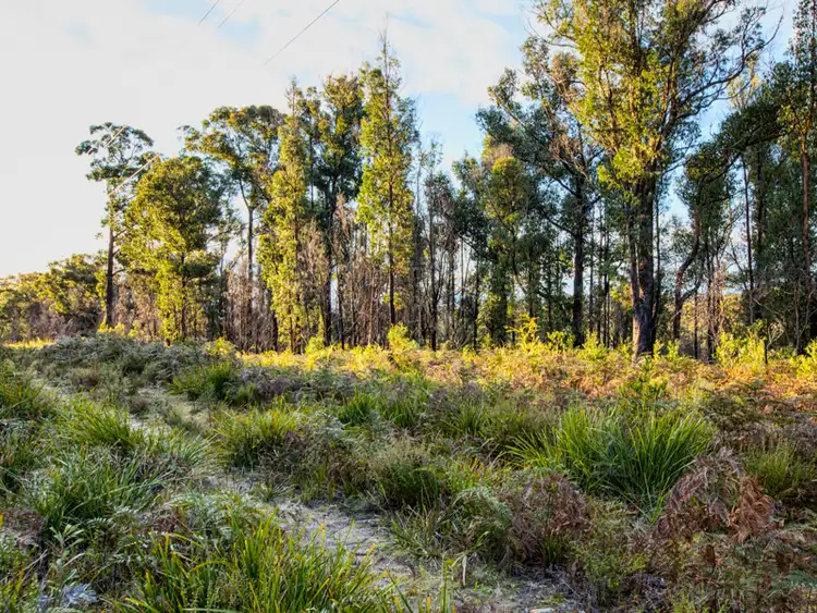 Sixth view of Homely land listing, Lot 1, 427 Arthur Highway, Murdunna TAS 7178