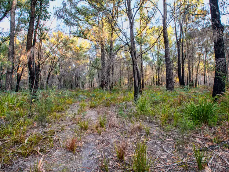 Seventh view of Homely land listing, Lot 1, 427 Arthur Highway, Murdunna TAS 7178