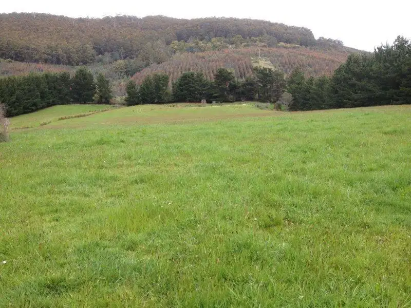 Main view of Homely land listing, 2512 Nubeena Road, Port Arthur TAS 7182