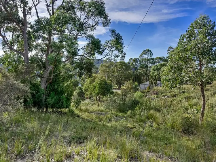 46 Ferntree Road, Eaglehawk Neck TAS 7179